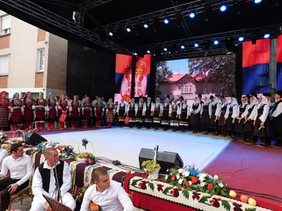 Oplenacka_berba_2024