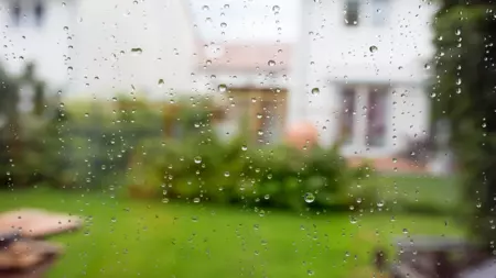 5 saveta kako da prepoznate visoku vlagu u stanu