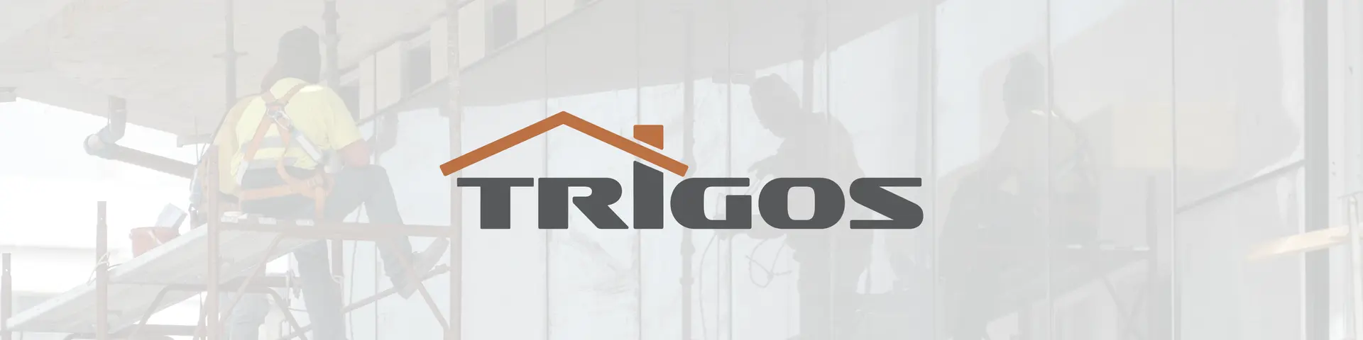 Trigos_baner_250602