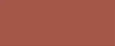 DARK BRICK_R407