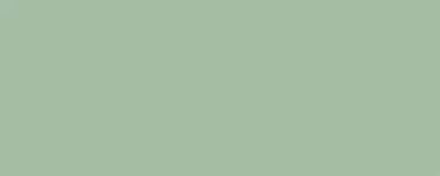 OLIVE_G601