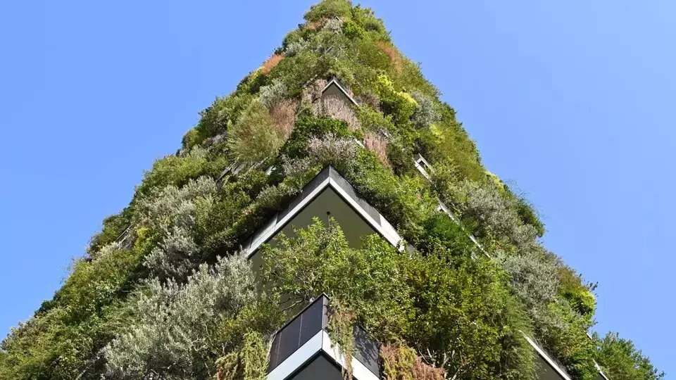 vertikalna šuma reference image 1