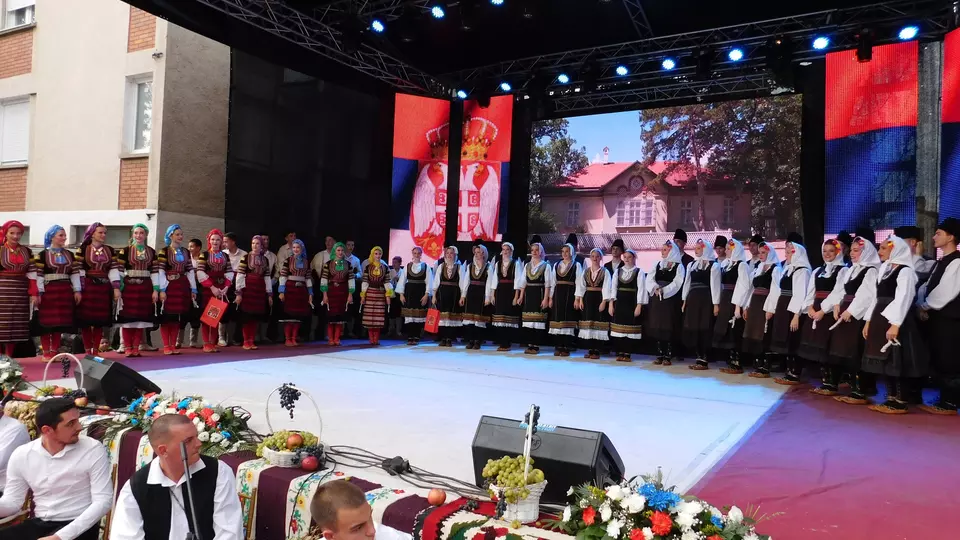 Oplenacka_berba_2024 Oplenacka_berba_2024