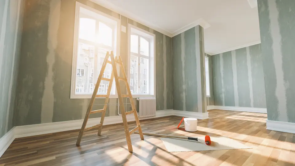 Rušenje i čišćenje